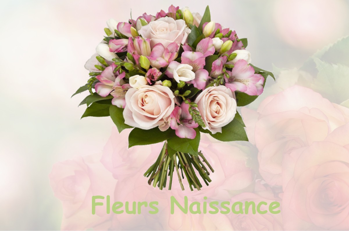 fleurs naissance L-ARGENTIERE-LA-BESSEE
